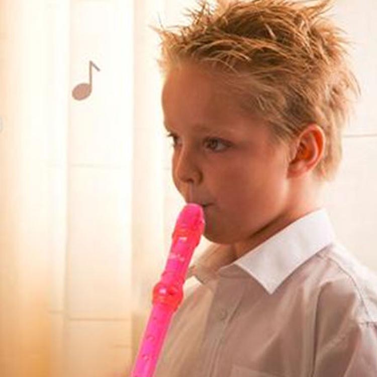 Soprano Descant Recorder 8 Hole Flute w/Cleaning Rod Bag Instruction Pink