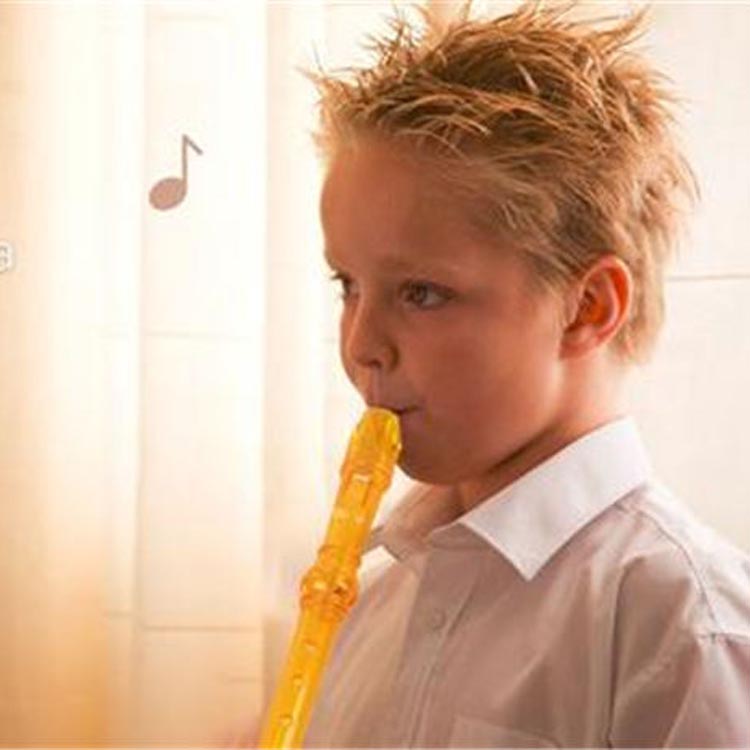 Soprano Descant Recorder-8 Hole Flute w/Cleaning Rod Bag Instruction