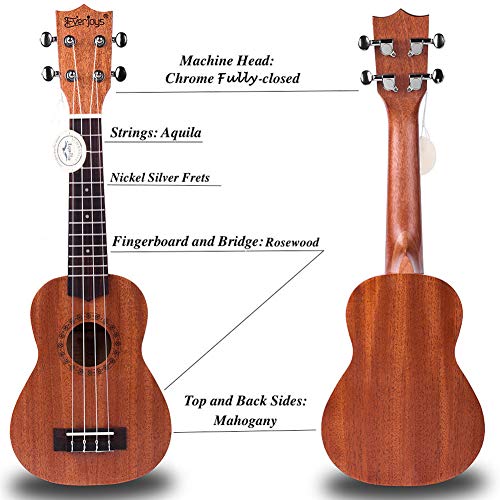 Mahogany Soprano Ukulele Kit - Professional 21 inch w/Case Strap Tuner Aquila Strings EVUKP