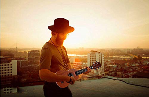 Mahogany Soprano Ukulele Kit - Professional 21 inch w/Case Strap Tuner Aquila Strings EVUKP