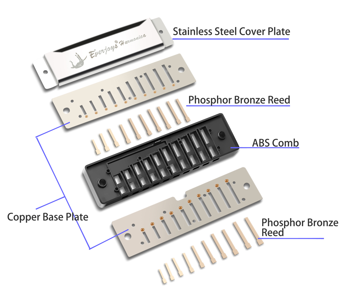 Diatonic Harmonica 10 Hole - Blues Harp, Key of C