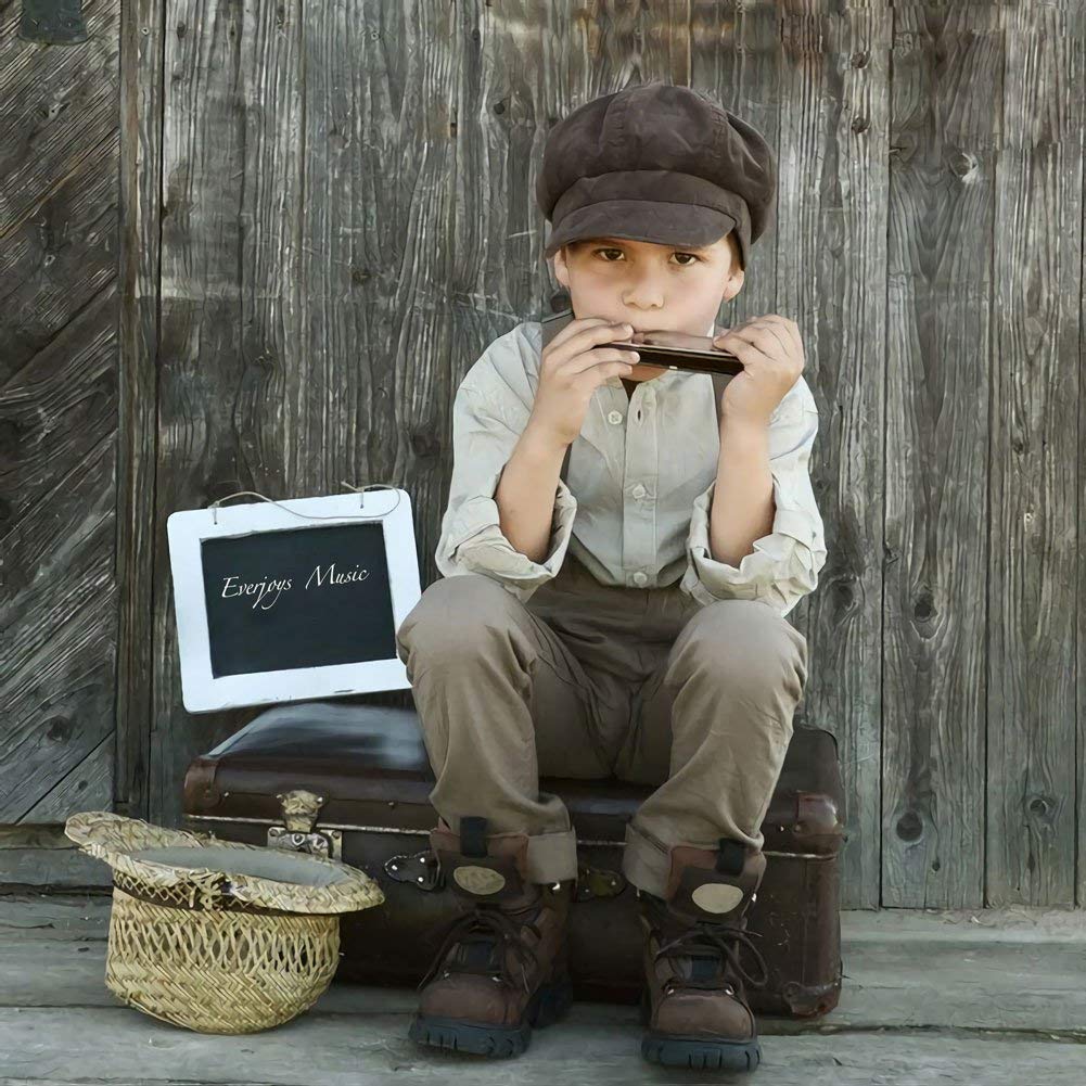 Diatonic Harmonica 10 Hole - Blues Harp, Key of C