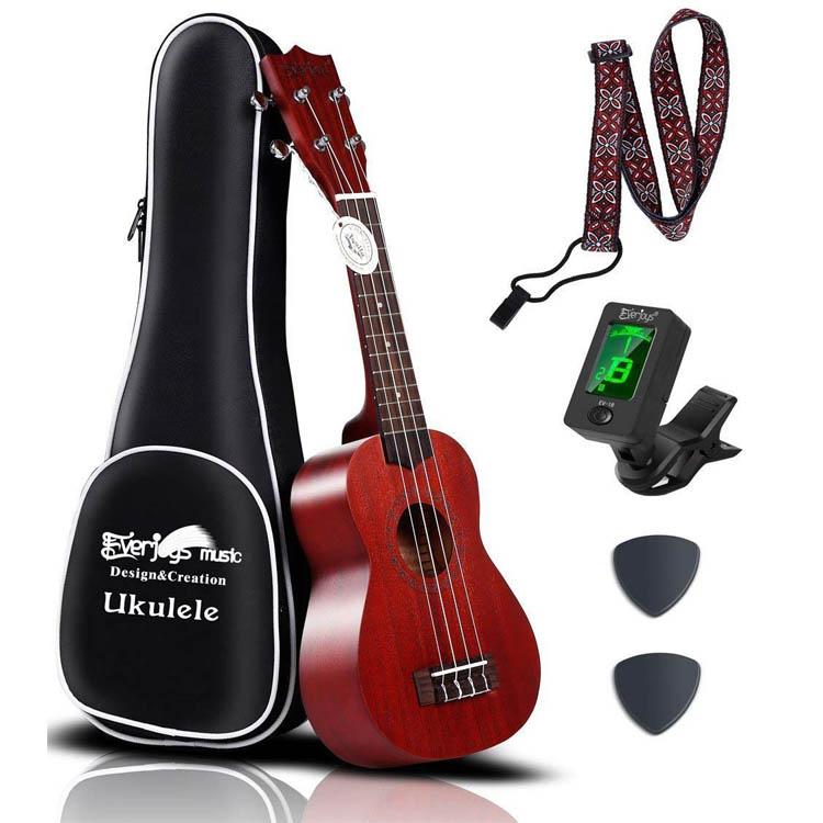 Mahogany Soprano Ukulele Kit - Professional 21 inch w/Case Strap Tuner Aquila Strings EVUKP01